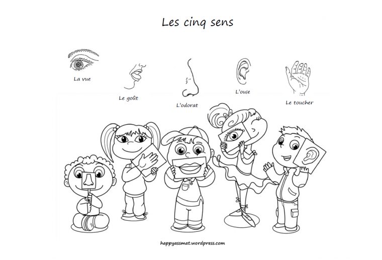 Activités Sur Le Thème Des 5 Sens – Happy Assmat dedans Les 5 Sens Activités Maternelle