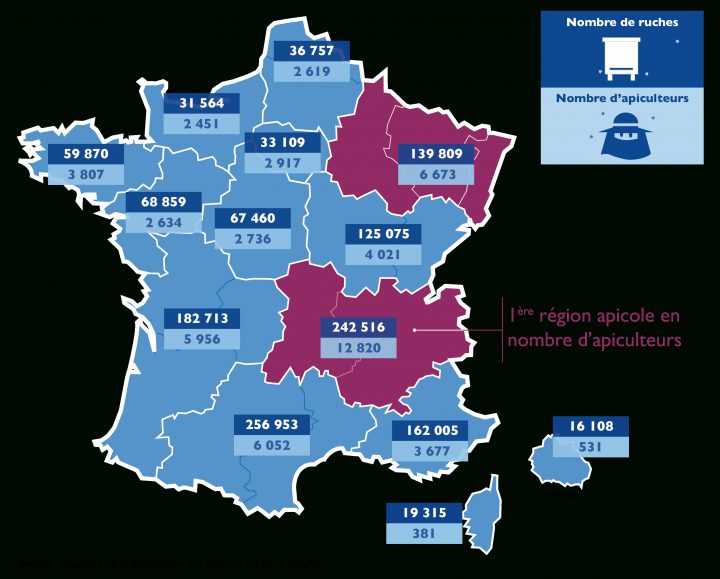 Ada France – Fédération Nationale – Apiculture encequiconcerne Nombre De Régions En France 2017