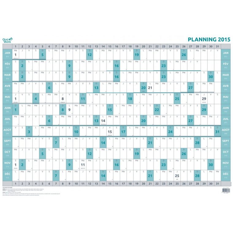 Agenda Quovadis Planning Annuel 90X63 Fr – 90X63Cm – 1 dedans Planning Annuel 2018