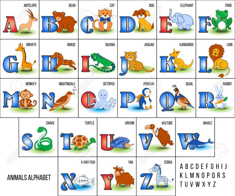 Alphabet De Zoo Mignon Avec Des Animaux De Bande Dessinée De L'illustration  Vectorielle De A À Z Isolé Sur Le Fond, Éducation Pour Enfants, à Apprendre Alphabet Francais