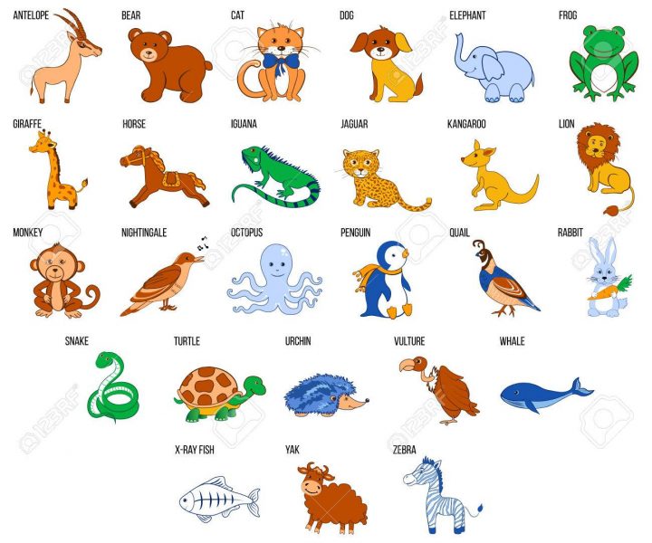 Alphabet De Zoo Mignon Avec Des Animaux De Bande Dessinée De L'illustration  Vectorielle De A À Z Isolé Sur Le Fond, Éducation Pour Enfants, destiné Apprendre Le Nom Des Animaux