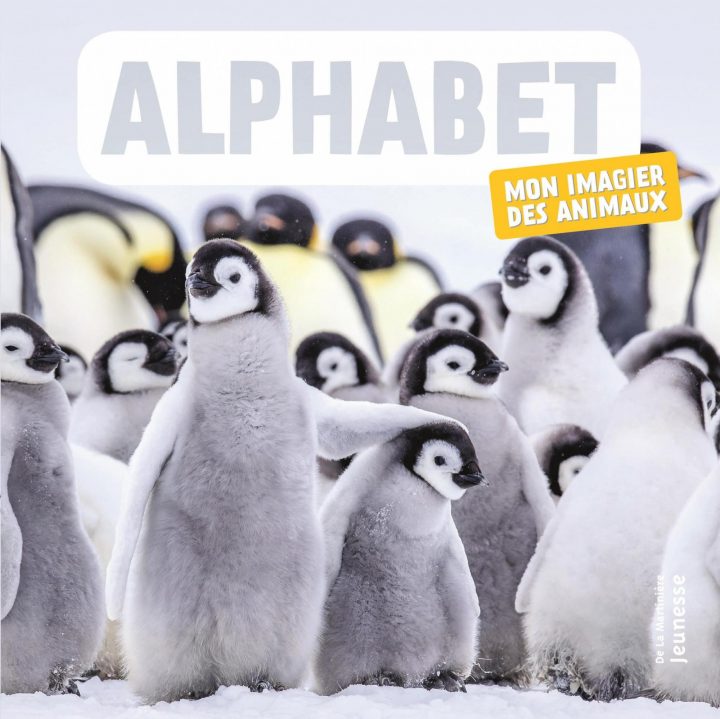 Alphabet : Mon Imagier Des Animaux destiné Imagier Bébé En Ligne