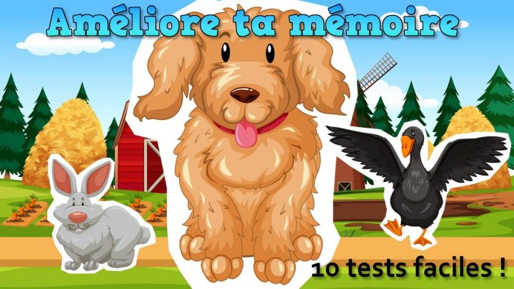 Améliore Facilement Ta Mémoire Avec Ces 10 Petits Jeux Sympa | Jeu De  Mémoire Gratuit encequiconcerne Jeux Memoire Gratuit