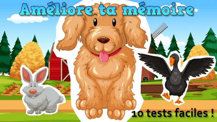 Améliore Facilement Ta Mémoire Avec Ces 10 Petits Jeux Sympa | Jeu De  Mémoire Gratuit serapportantà Jeu De Memoire Gratuit