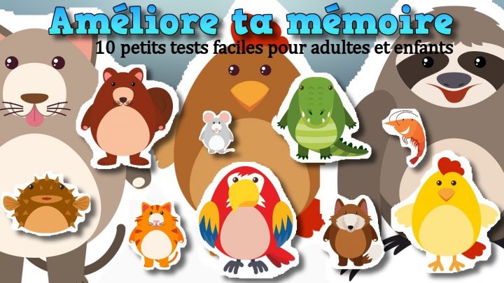 Améliore Ta Mémoire Avec Ces 10 Petits Jeux Faciles | Jeu De Mémoire  Gratuit Pour Adultes Et Enfants avec Jeux Gratuit De Memoire