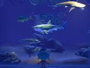 Animal Crossing New Horizons : Comment Attraper Un Requin ? avec Jeu De Societe Requin