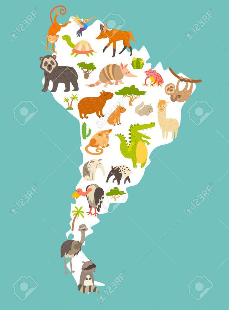 Animaux Carte Du Monde, Sourth Amérique. Dessin Animé Coloré Illustration  Vectorielle Pour Les Enfants Et Les Enfants. Préscolaire, L'éducation,  Bébé, dedans Carte Du Monde Enfant