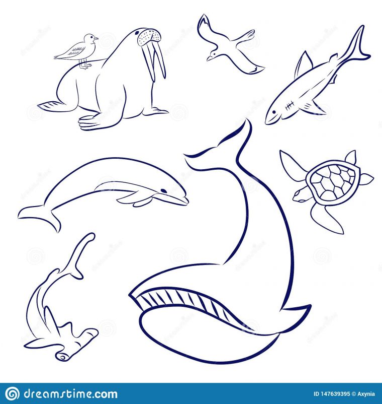 Animaux De Mer De Bande Dessin?e R?gl?s Baleine, Tortue concernant Dessin Dauphin A Imprimer