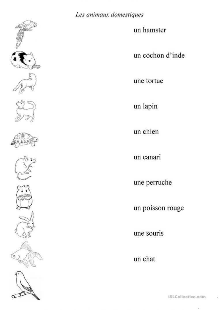 Animaux Domestiques – Français Fle Fiches Pedagogiques destiné Les Animaux Domestiques En Maternelle