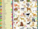 Animaux Domestiques Ou Sauvages | Animaux Domestiques encequiconcerne Les Animaux Domestiques En Maternelle