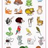 Animaux Familiers-Pets – My-Teacher.fr : Apprendre L'anglais tout Apprendre Le Nom Des Animaux