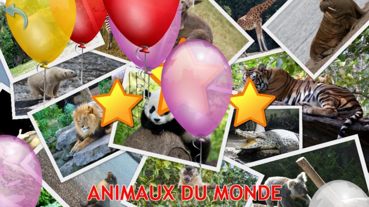 Animaux Pour Les Enfants, Jeux Bébé Gratuit Pour Android avec Jeux Pour Bebe Gratuit