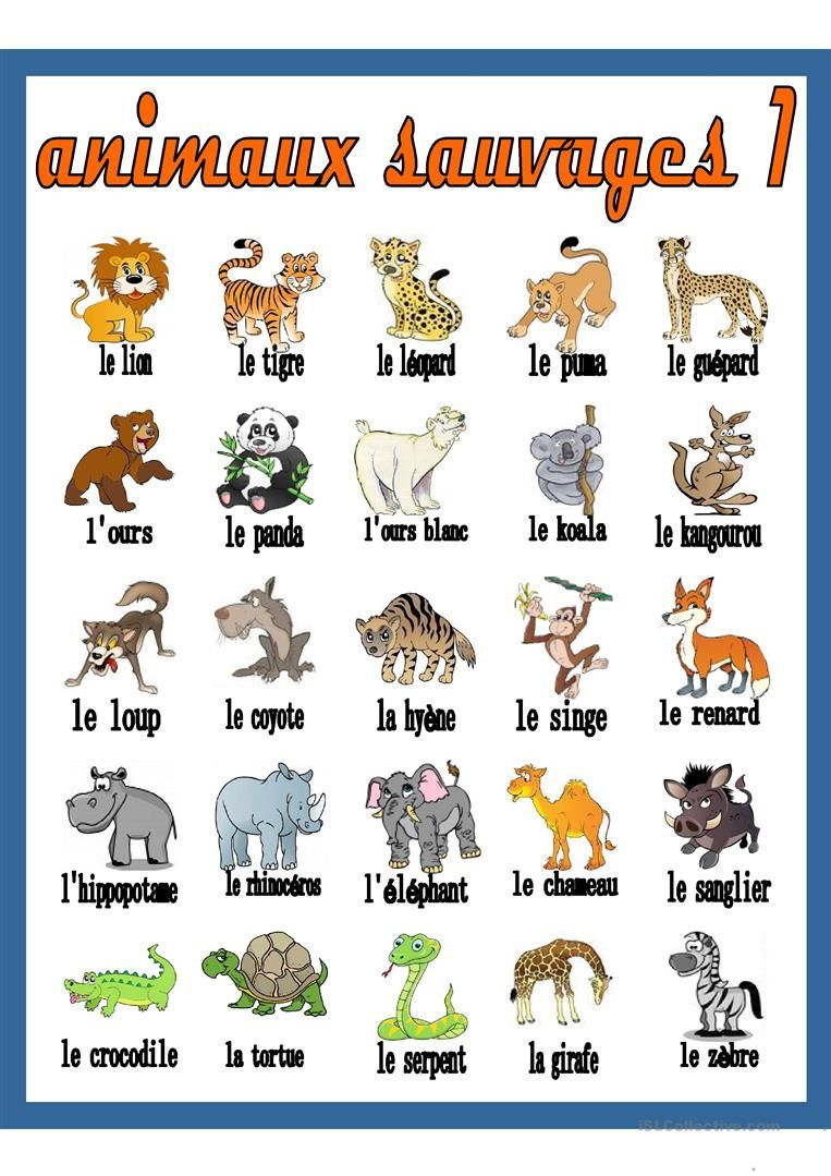 Animaux Sauvages 1 - Dictionnaire Visuel | Imagier Animaux intérieur Apprendre Le Nom Des Animaux