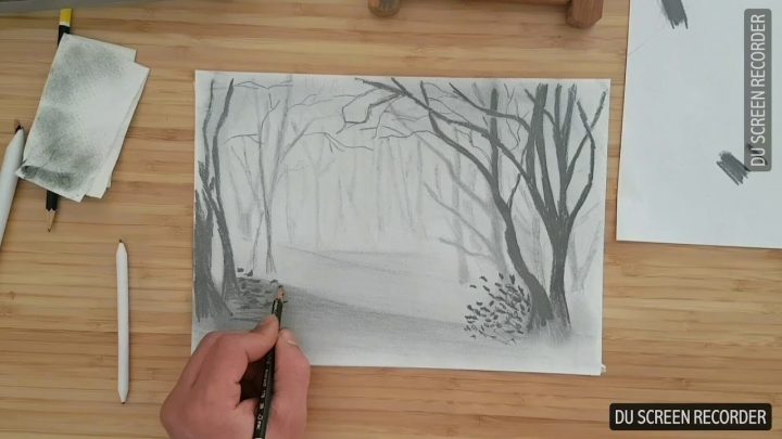 Apprendre À Dessiner La Forêt Dans Le Brouillard tout Dessin De Foret