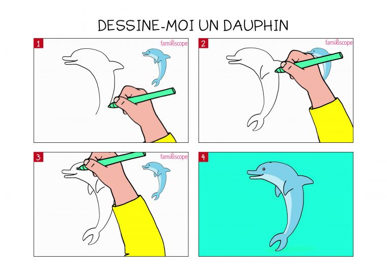 Apprendre À Dessiner Un Dauphin En 3 Étapes à Dessin Dauphin À Imprimer