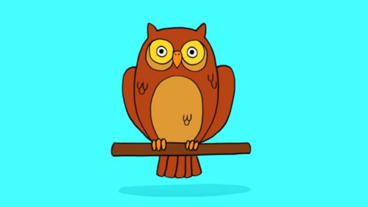 Apprendre À Dessiner Un Hibou tout Dessin Hibou Facile