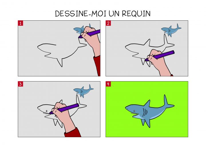 Apprendre À Dessiner Un Requin En 3 Étapes avec Coloriage Requin Blanc Imprimer