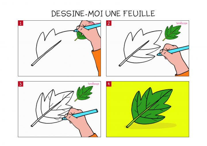 Apprendre À Dessiner Une Feuille En 3 Étapes à Dessin De Feuille D Automne