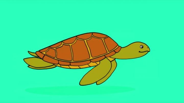 Apprendre À Dessiner Une Tortue De Mer tout Dessiner Une Tortue