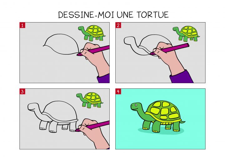 Apprendre À Dessiner Une Tortue En 3 Étapes dedans Dessiner Une Tortue