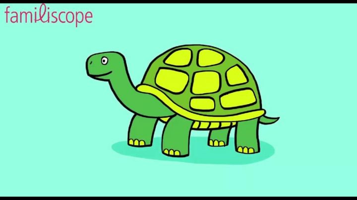 Apprendre À Dessiner Une Tortue. intérieur Dessiner Une Tortue