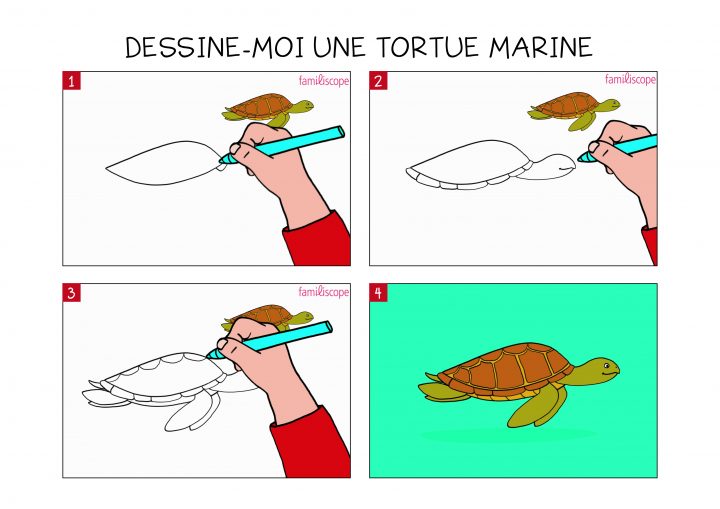 Apprendre À Dessiner Une Tortue Marine En 3 Étapes à Dessiner Une Tortue