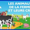 Apprendre Les Animaux De La Ferme Et Leurs Cris (Fr) - Jeu à Jeux Les Animaux De La Ferme