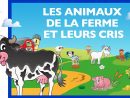 Apprendre Les Animaux De La Ferme Et Leurs Cris (Fr) - Jeu Éducatif destiné Jeux De Ferme Gratuit Avec Des Animaux