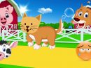 Apprendre Les Animaux Pour Bébé | Comptines Pour Bébé | Sons D'animaux Pour  Les Enfants #83 avec Apprendre Les Animaux Pour Bebe