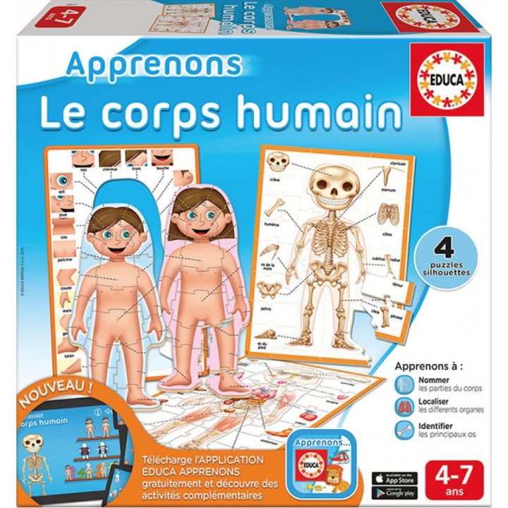 Apprenons Le Corps Humain, Educa, Jeux, Apprentissage avec Jeux Enfant Educatif