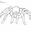 Araignée #35 (Animaux) – Coloriages À Imprimer dedans Dessiner Une Araignee