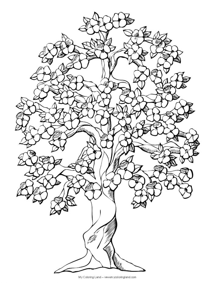 Arbre #68 (Nature) – Coloriages À Imprimer à Dessin De Feuille D Arbre À Imprimer