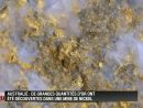 Australie: Des Mineurs Découvrent D'énormes Pépites D'or intérieur Mineur D Or