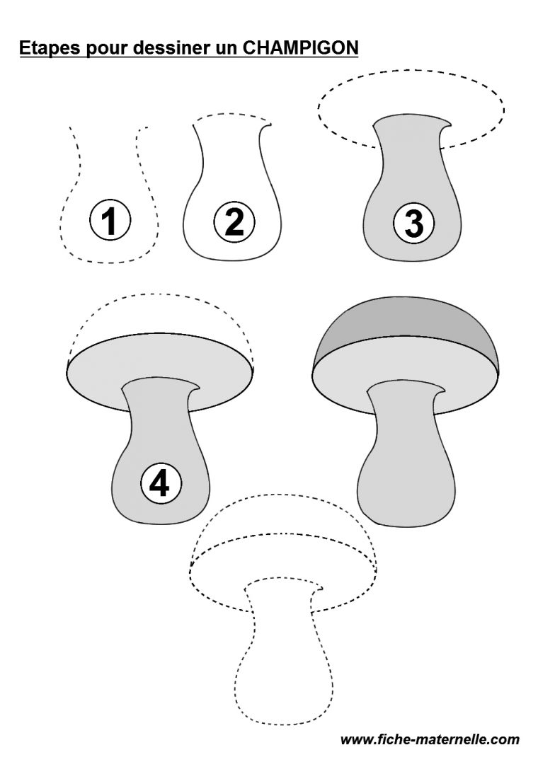 Automne En Maternelle Et Cp : Apprendre À Dessiner Un Champignon concernant Dessiner Un Champignon