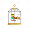 Beau Personnage D'oiseau Coloré En Cage. Merveilleuse Créature À Plumes  Dans La Cellule Suspendue. Dessin Vectoriel Plat De Dessin Animé Pour  Poster encequiconcerne Dessin De Cage D Oiseau