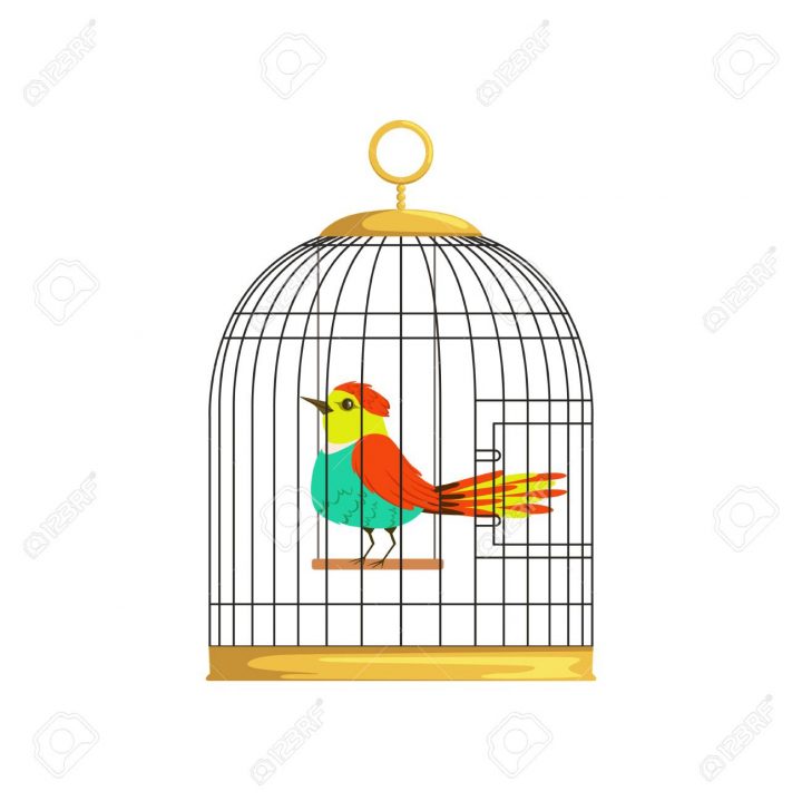 Beau Personnage D'oiseau Coloré En Cage. Merveilleuse Créature À Plumes  Dans La Cellule Suspendue. Dessin Vectoriel Plat De Dessin Animé Pour  Poster encequiconcerne Dessin De Cage D Oiseau