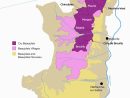 Beaujolais Nouveau 2016 | Carte Des Vins, Vin Et Les Régions destiné Carte Des Régions De France 2016