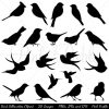 Bird Silhouettes Clip Art Clipart Clipart, Bird Clip Art encequiconcerne Dessin D Oiseau Simple