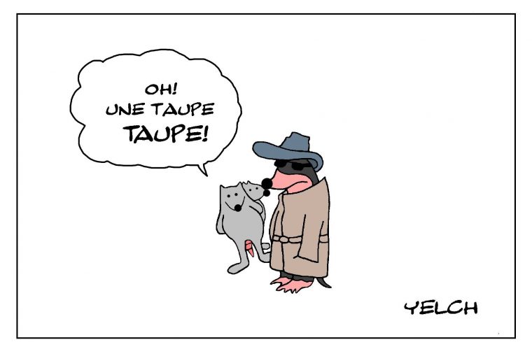 Blague Sur Les Mammifères Fouisseurs – Blagues Et Dessins destiné Dessin De Taupe