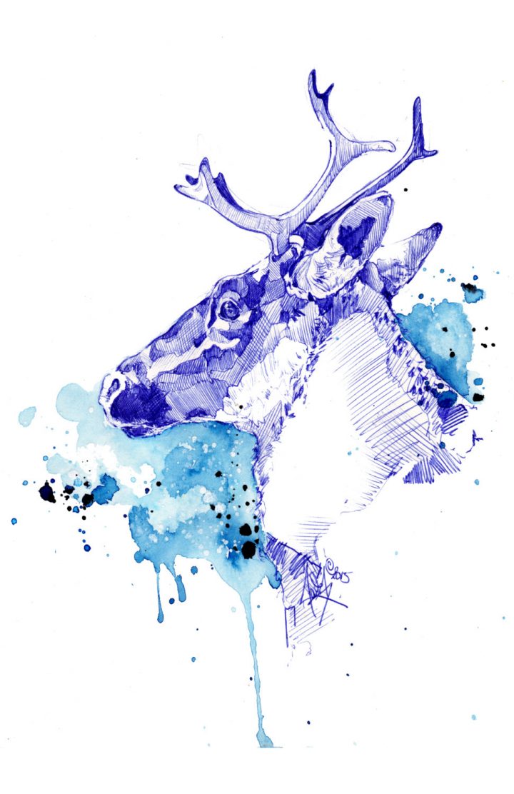 Bleu Boréal – Illustration (Print) | Caribou | Deer | Antler | Aquarelle |  Drawing | Dessin | Watercolor | Animal Illustration | Art Deco serapportantà Caribou Dessin