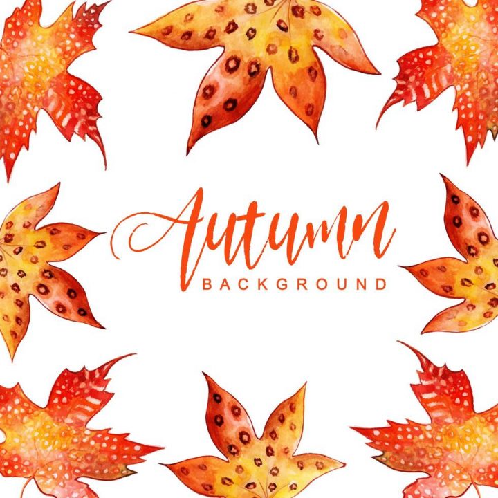 Cadre De Feuilles D'automne Aquarelle – Telecharger encequiconcerne Dessin De Feuille D Automne