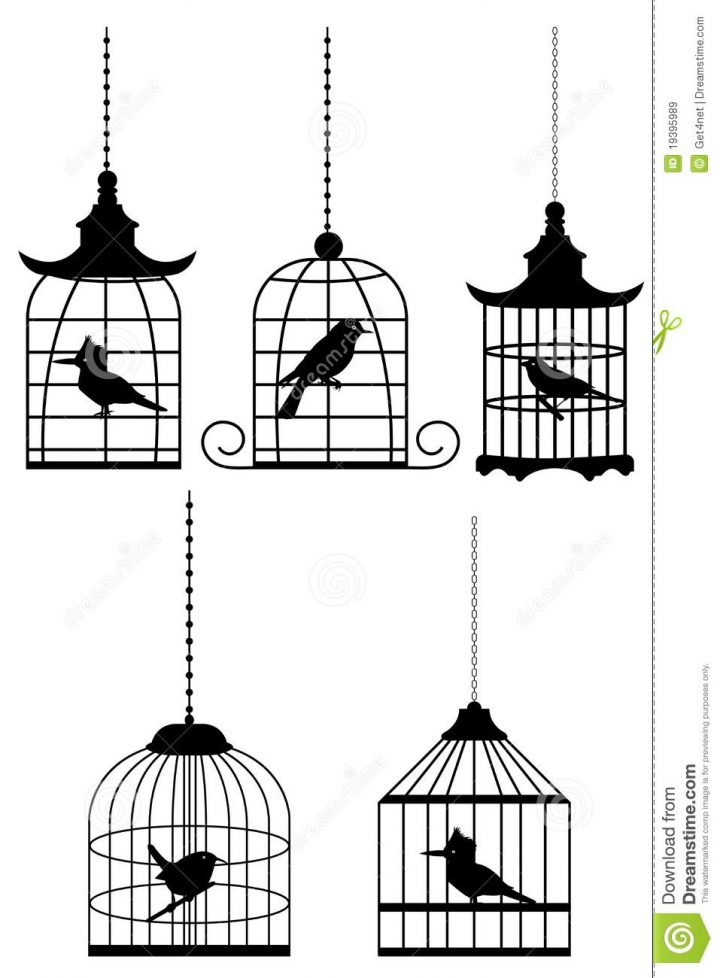 Cage À Oiseaux Coloriage – Recherche Google concernant Dessin De Cage D Oiseau