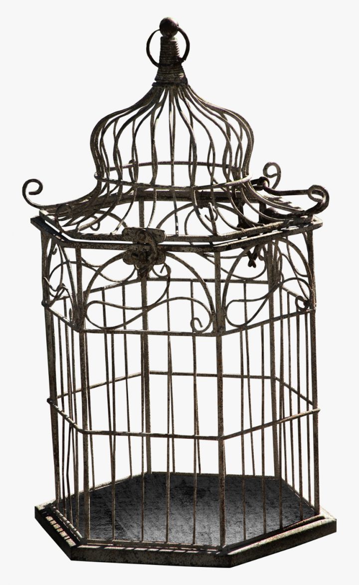 Cage D Oiseau Dessin, Hd Png Download – Kindpng concernant Dessin De Cage D Oiseau