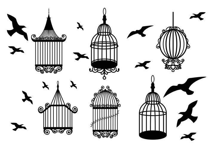 Cage D'oiseaux Vintage – Telecharger Vectoriel Gratuit intérieur Dessin De Cage D Oiseau