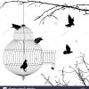 Cage Ouverte Et Silhouettes D'oiseaux Banque D'images, Photo tout Dessin De Cage D Oiseau