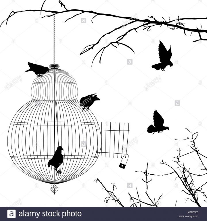 Cage Ouverte Et Silhouettes D'oiseaux Banque D'images, Photo tout Dessin De Cage D Oiseau