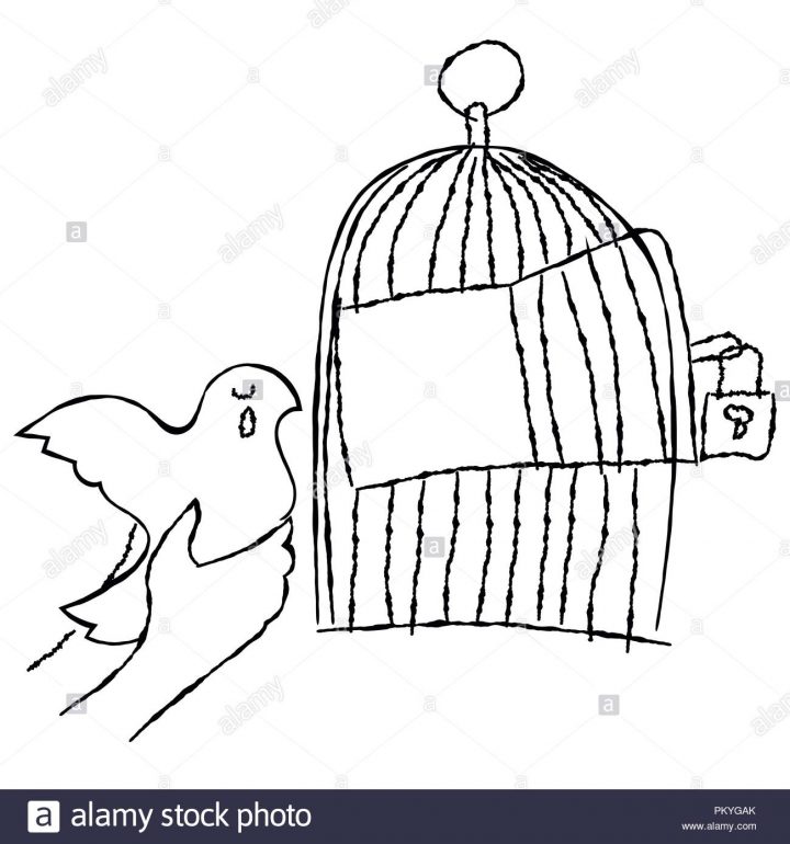 Cage Vectors Photos & Cage Vectors Images – Alamy intérieur Dessin De Cage D Oiseau