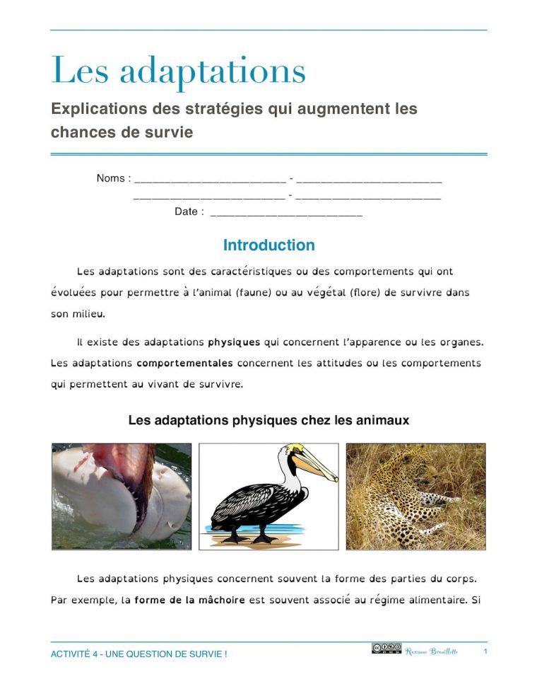 Calaméo – Activité 4 Adaptations intérieur Les Animaux Qui Hivernent