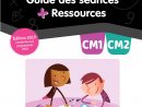 Calaméo - Extraits Guide Des Séances + Ressources Cm1/cm2 pour Symétrie Cm1 Exercices