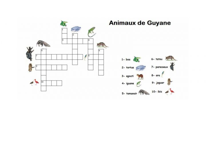 Calaméo – Mots Croisés Animaux De Guyane avec Mot Croiser